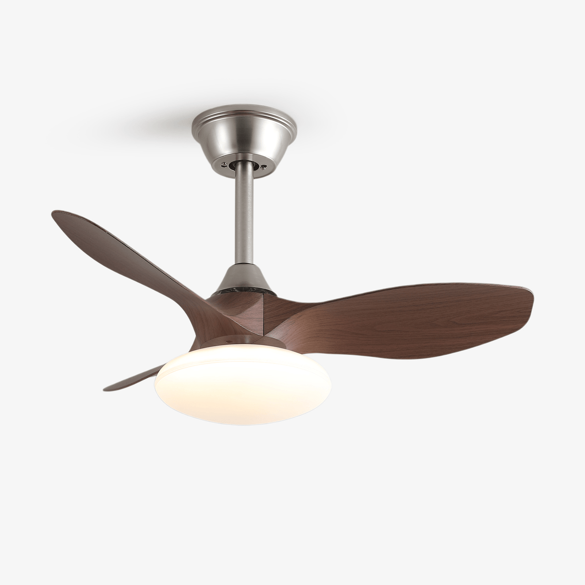 Sylvara Ceiling Fan Light