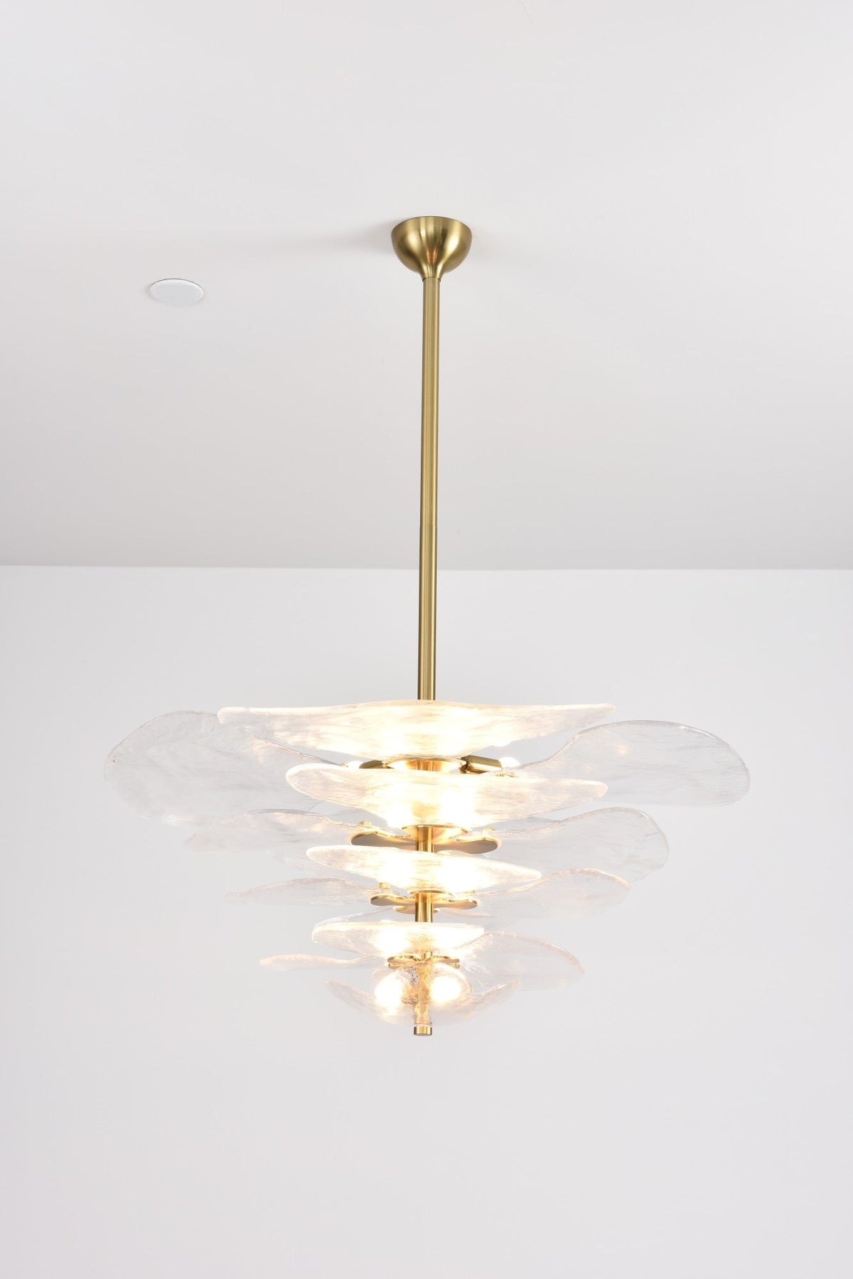 Crivs Chandelier Gold Murano Glass Petal Luxury