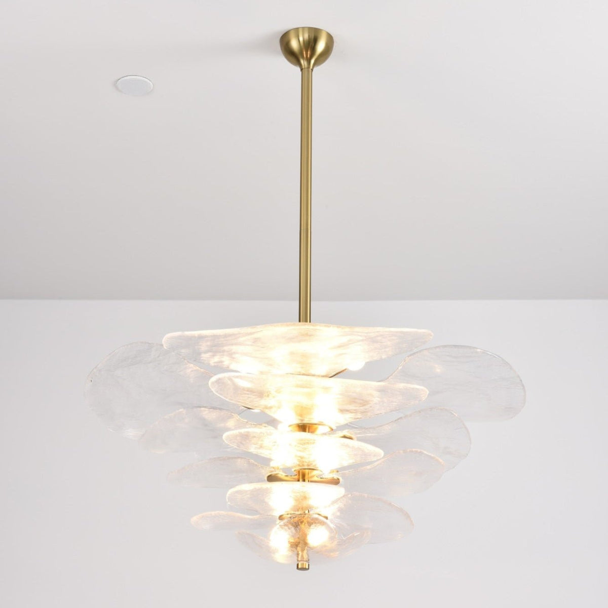 Crivs Chandelier Gold Murano Glass Petal Luxury