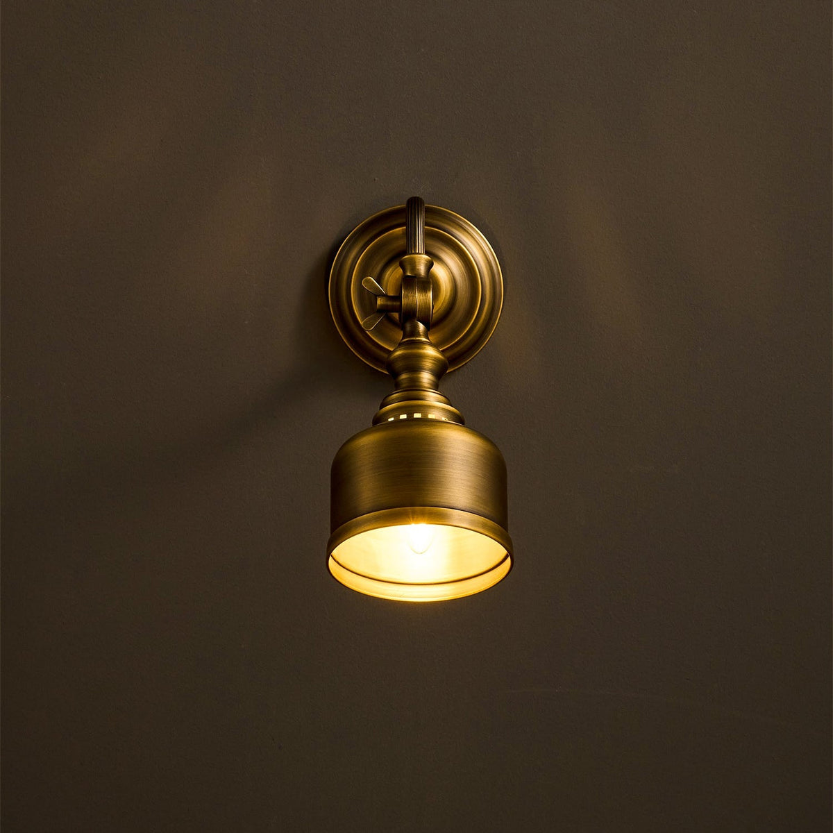 Dukia Gooseneck Indoor Wall Light
