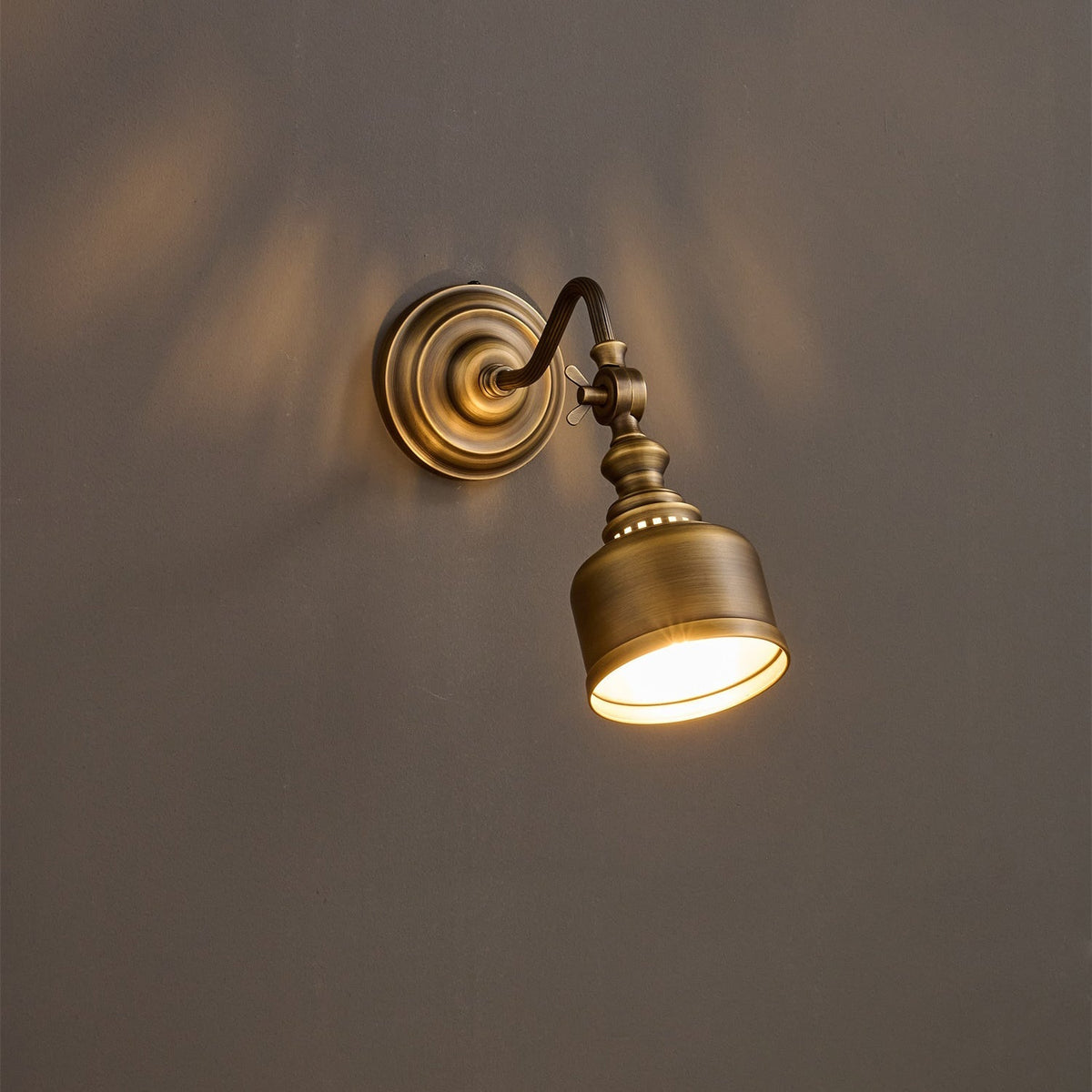 Dukia Gooseneck Indoor Wall Light