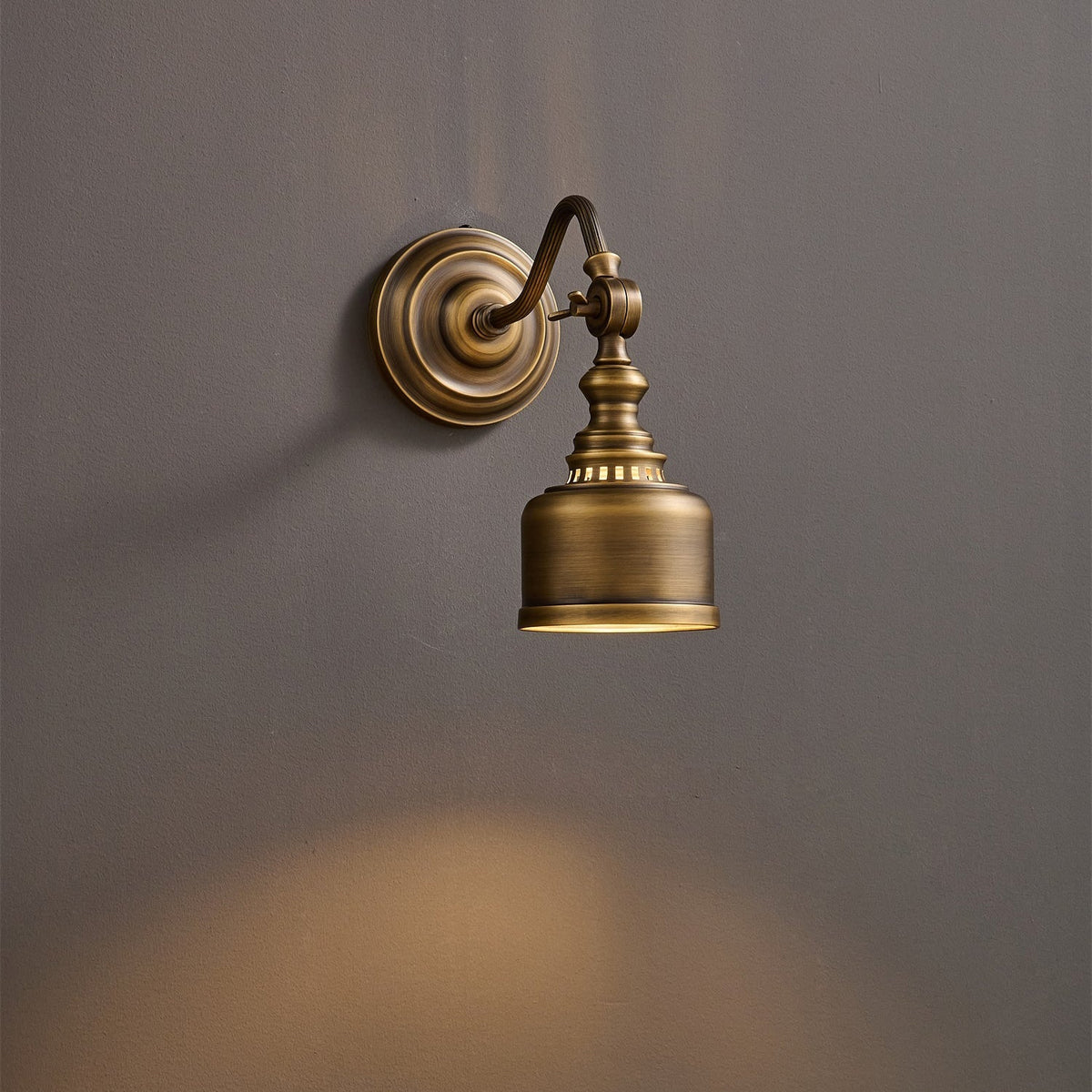 Dukia Gooseneck Indoor Wall Light