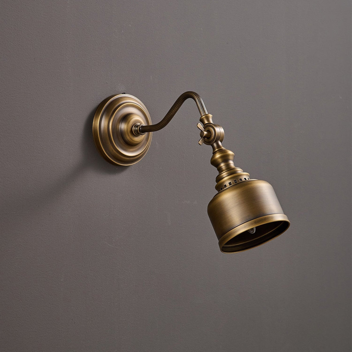 Dukia Gooseneck Indoor Wall Light
