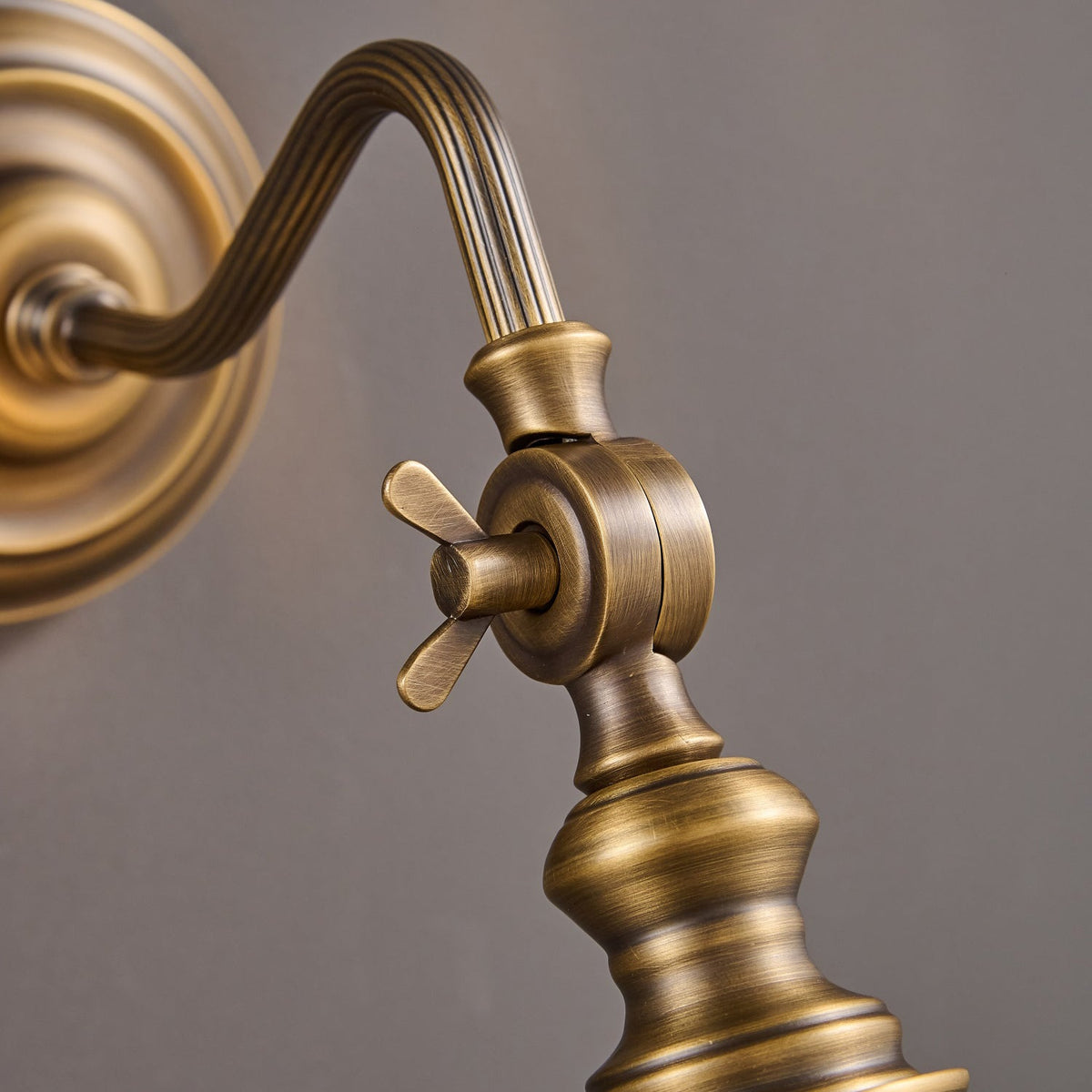 Dukia Gooseneck Indoor Wall Light