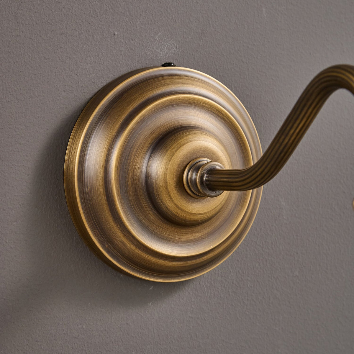 Dukia Gooseneck Indoor Wall Light