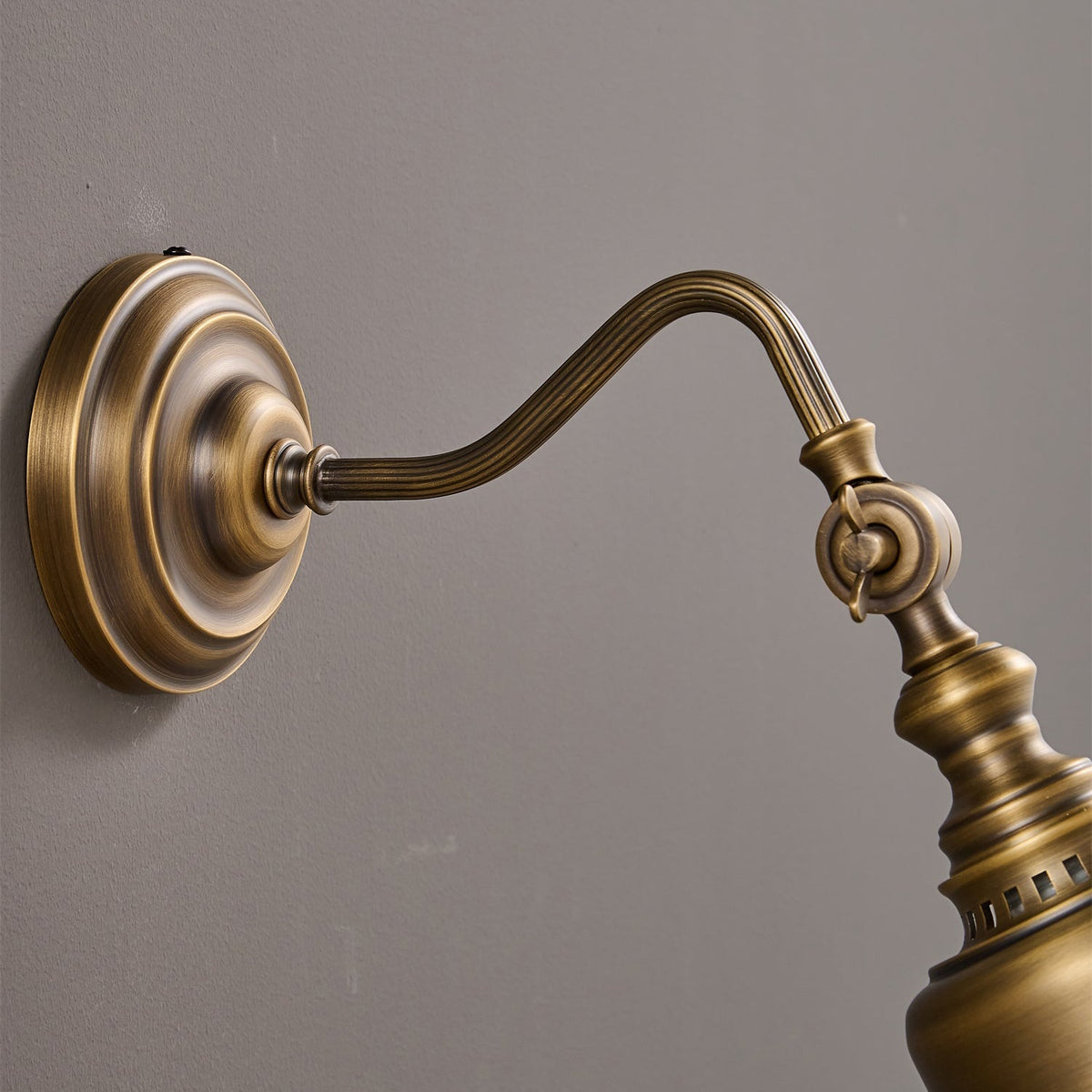 Dukia Gooseneck Indoor Wall Light