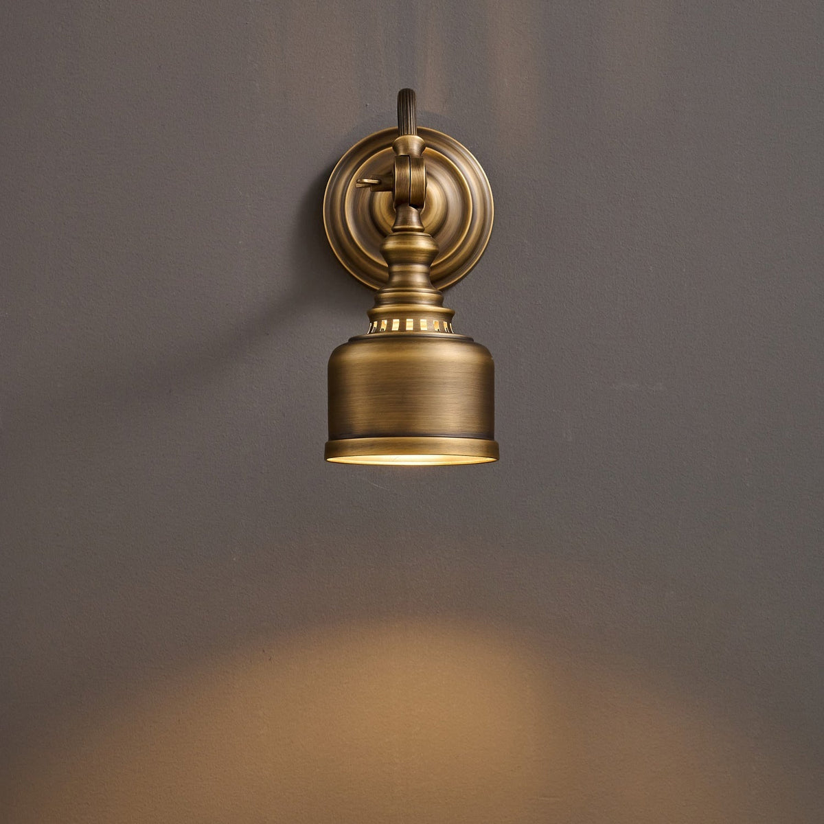 Dukia Gooseneck Indoor Wall Light