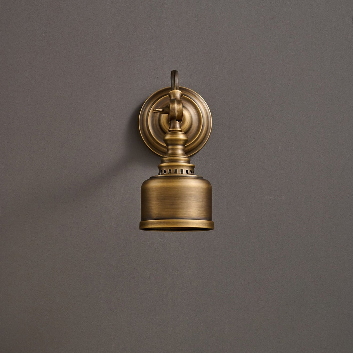 Dukia Gooseneck Indoor Wall Light