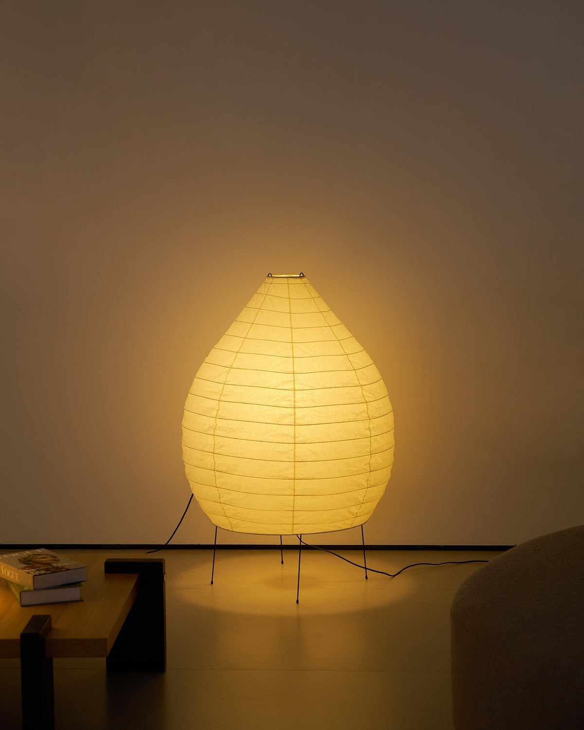 Viraiviella Modern Floor Lamp