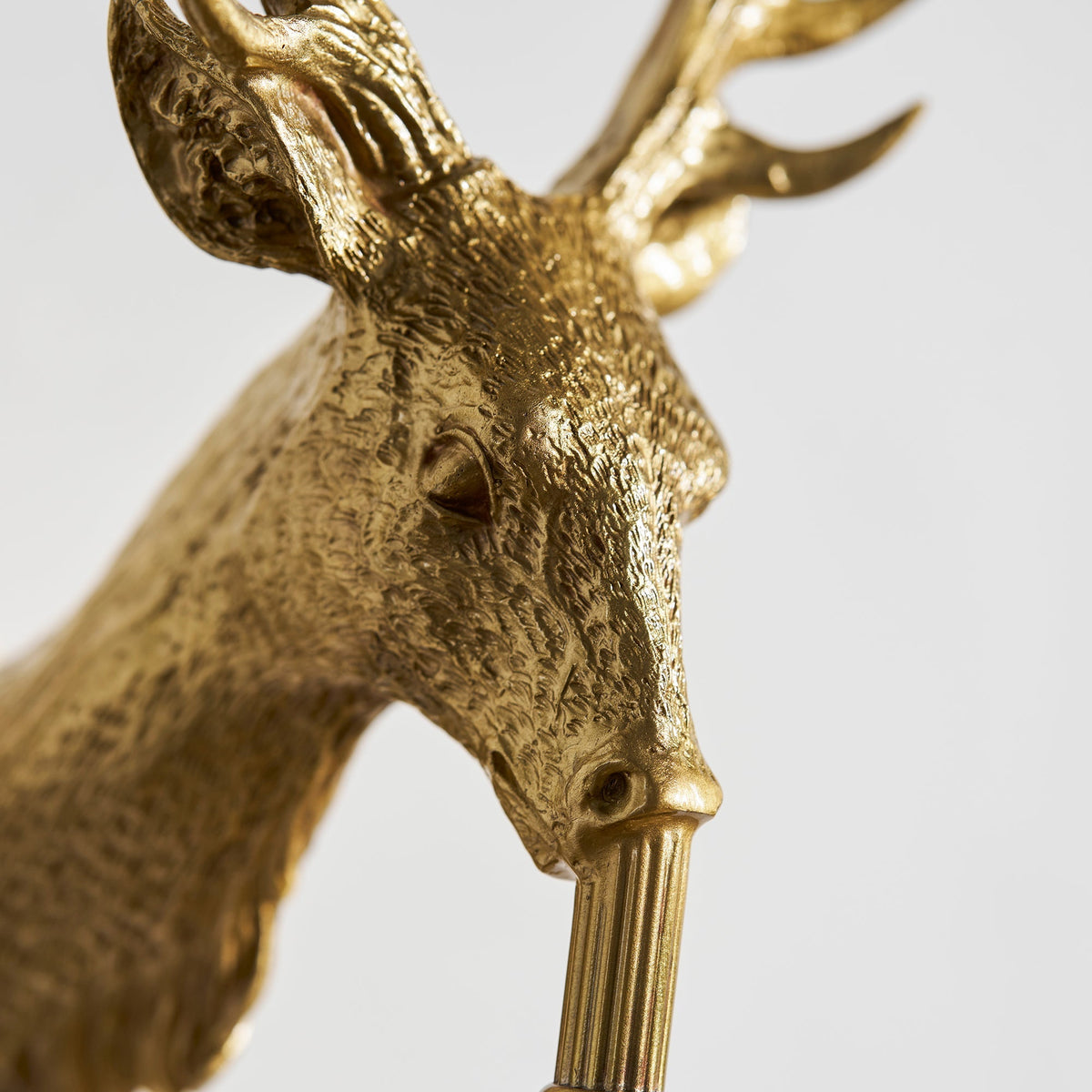 Voya Antler Crystal Indoor Wall Light