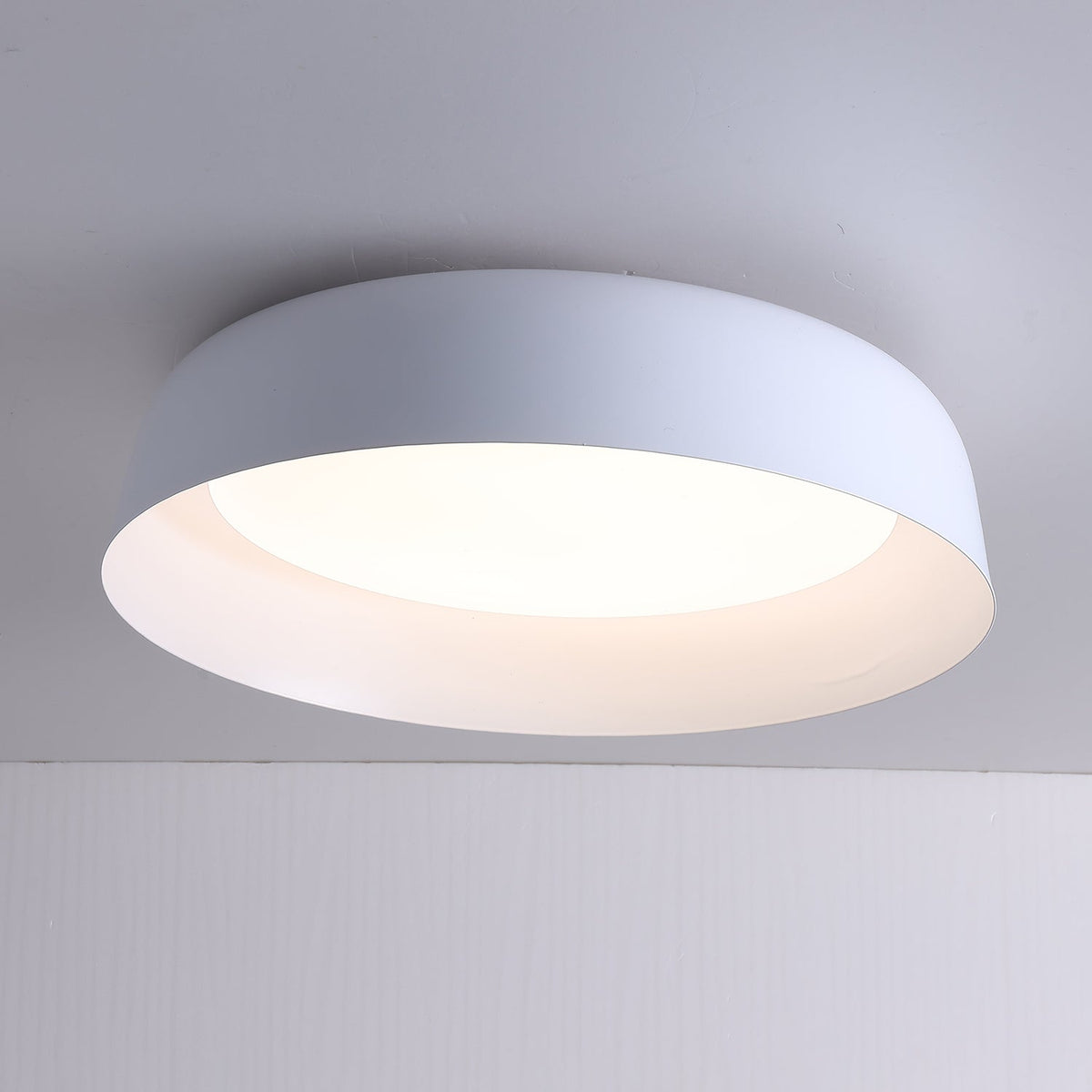 Viraenena Modern Minimalist Ceiling Light