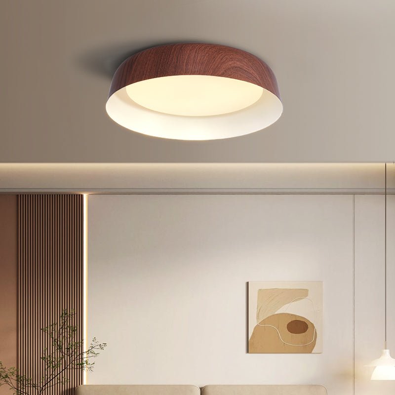 Viraenena Modern Minimalist Ceiling Light