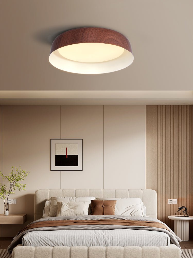 Viraenena Modern Minimalist Ceiling Light