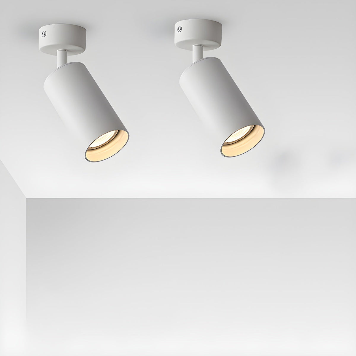 Vosilel Modern Minimalist Spotlight Ceiling lamp