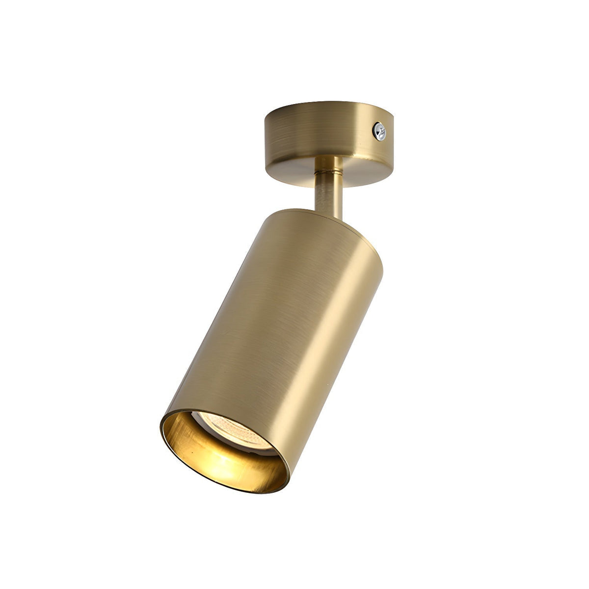 Vosilel Modern Minimalist Spotlight Ceiling lamp