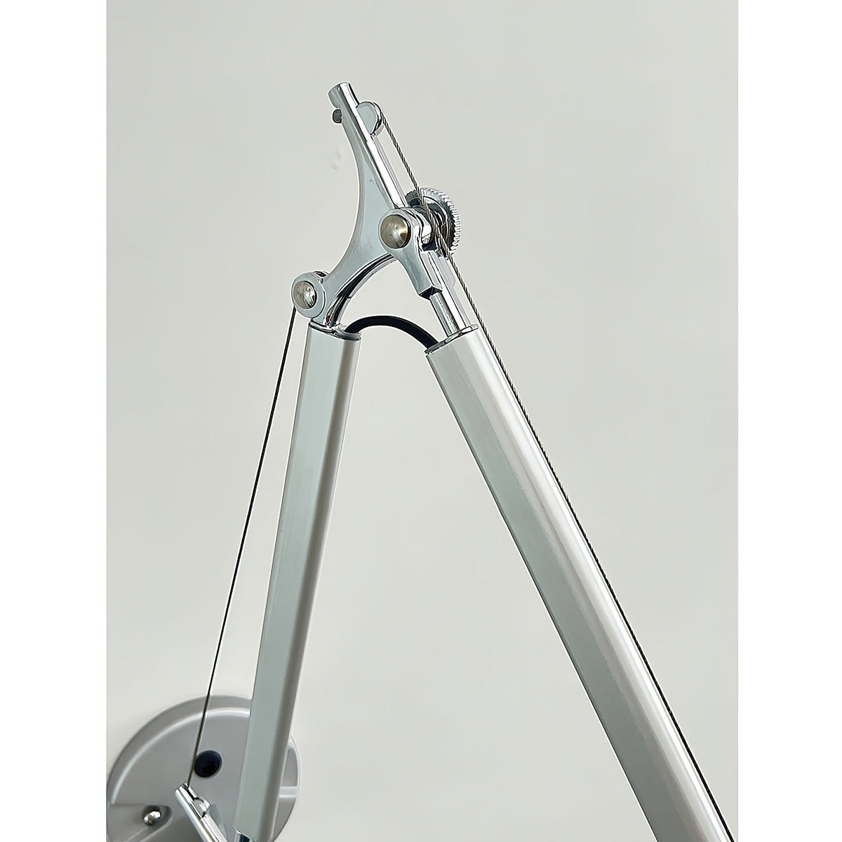 Elaoine Arm Wall Lamp