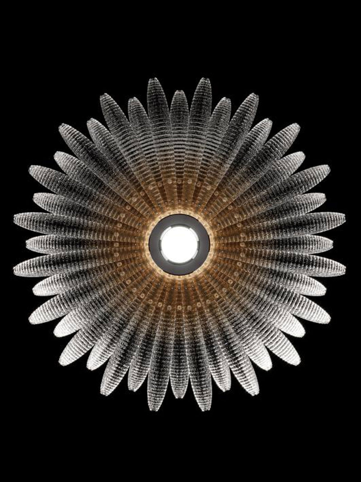 Ignatius Glass Petal Ceiling Light