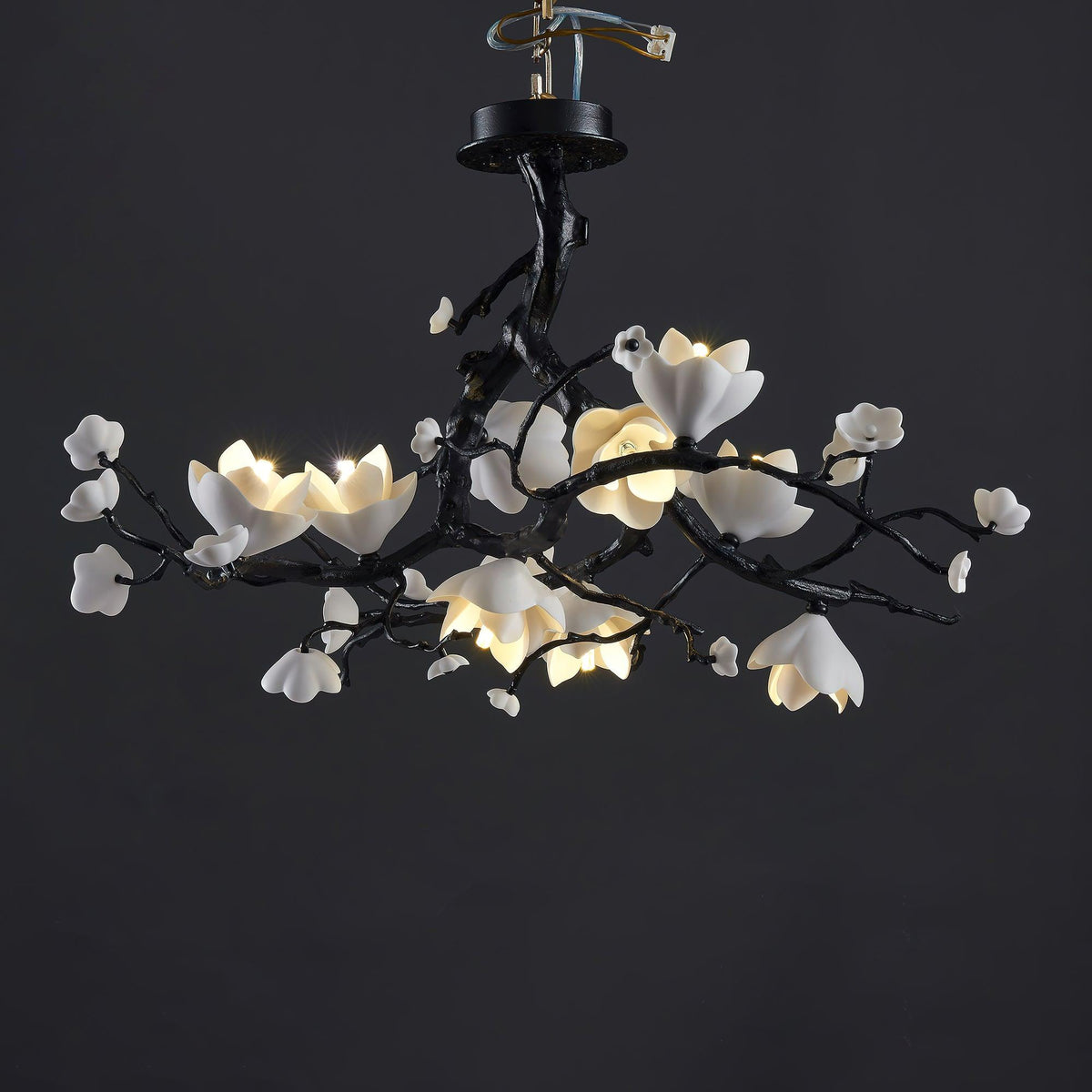 Aureira Pendant Lamp Black Copper Tree Wild Fruits