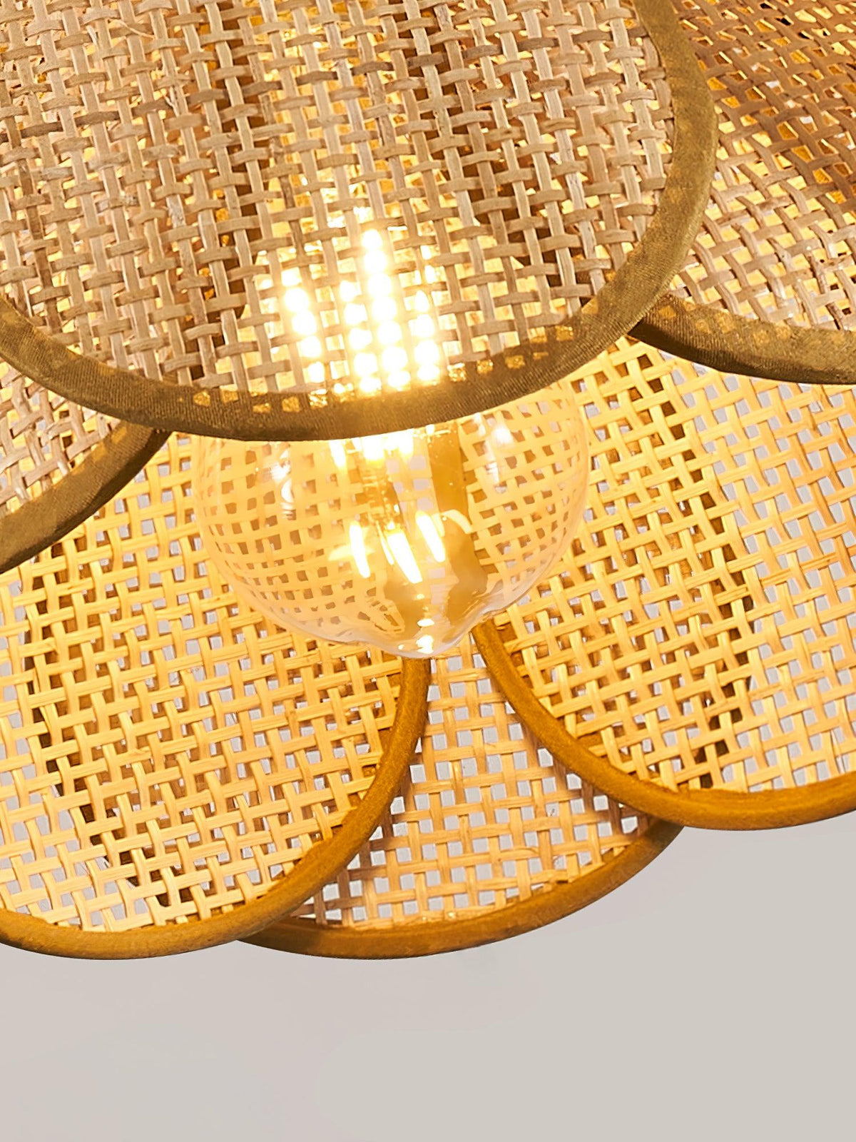 Celandine Pendant Light