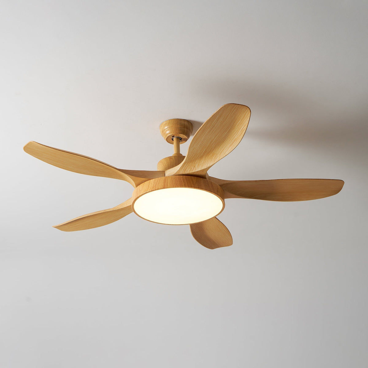 Teriinena Ceiling Fan Light