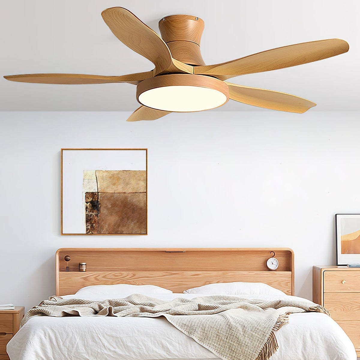 Teriinena Ceiling Fan Light