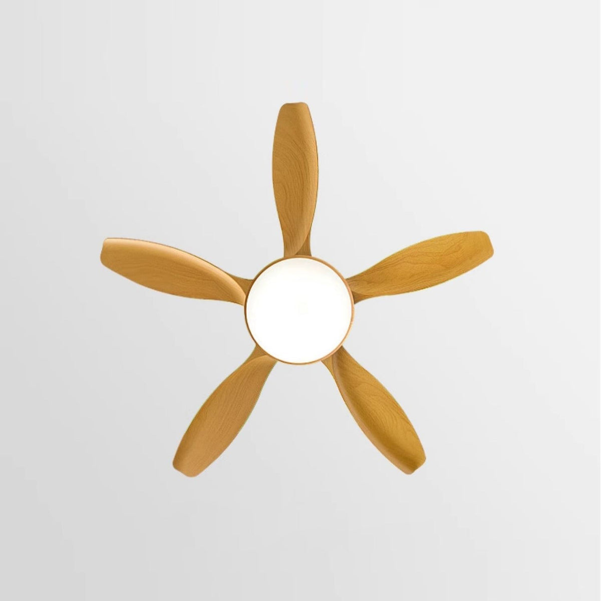 Teriinena Ceiling Fan Light