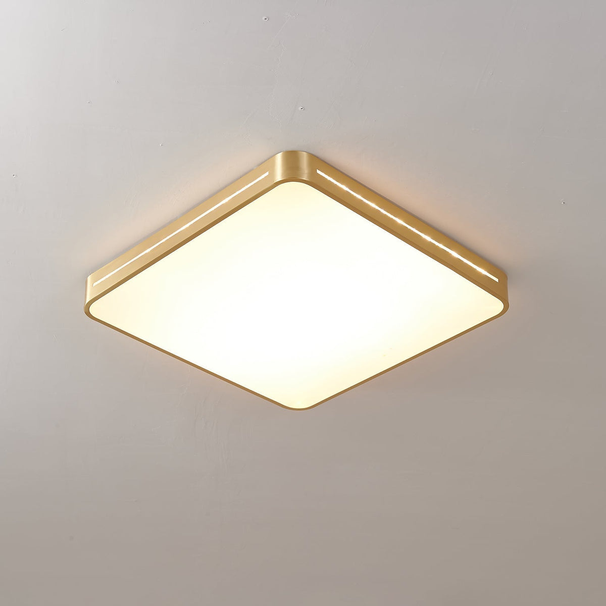 Eurcarara Modern Minimalist Brass Ceiling Light