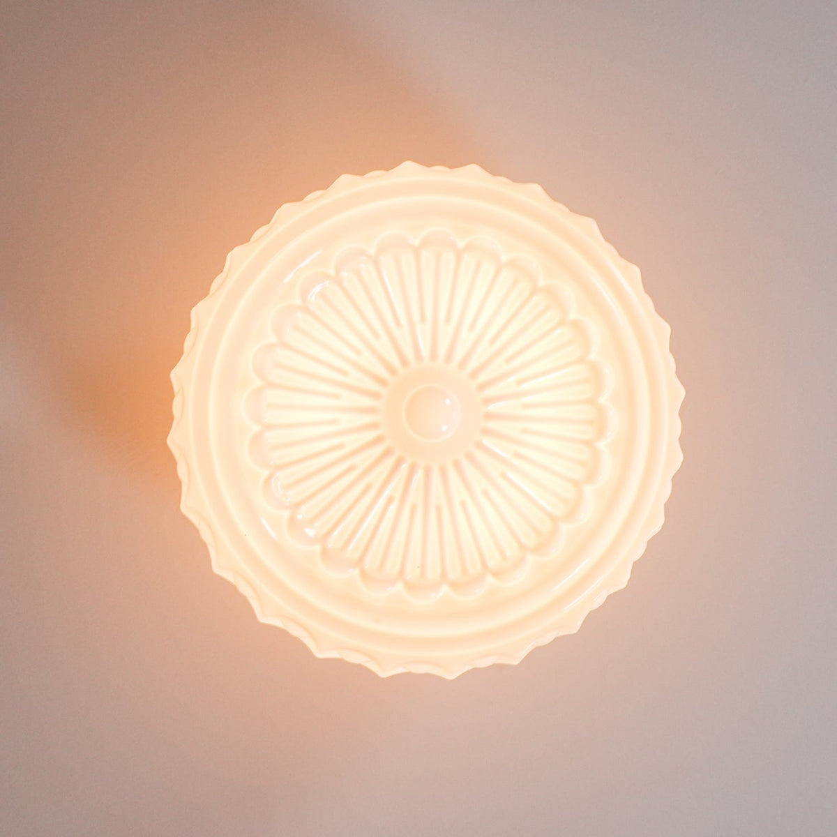 Jeiya Charles Edwards Flush Mount Ceiling Light