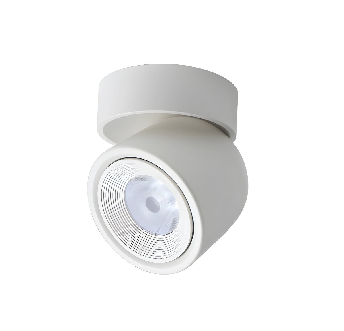 Clara Modern Minimalist Rotating Surface Downlight Ceiling lamp