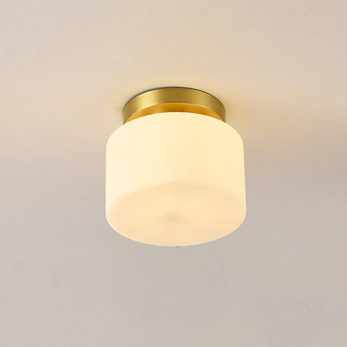 Elsilisra Nordic Art Brass Glass Flush Mount Ceiling Light