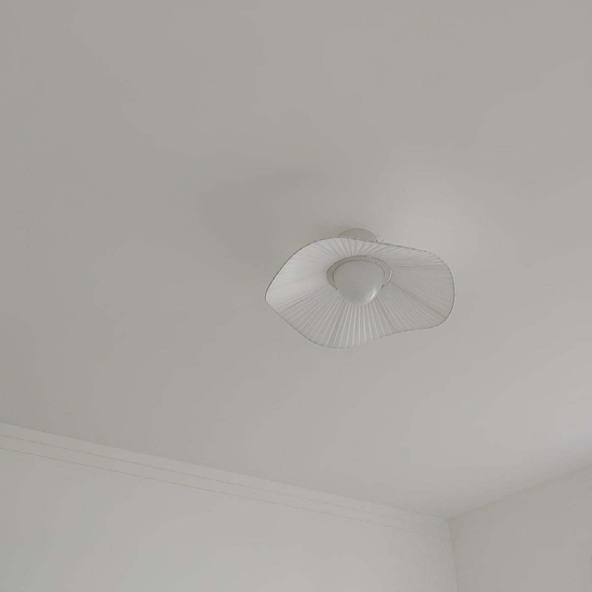 Soreraine Ceiling Light for Cozy Living Room or Bedroom