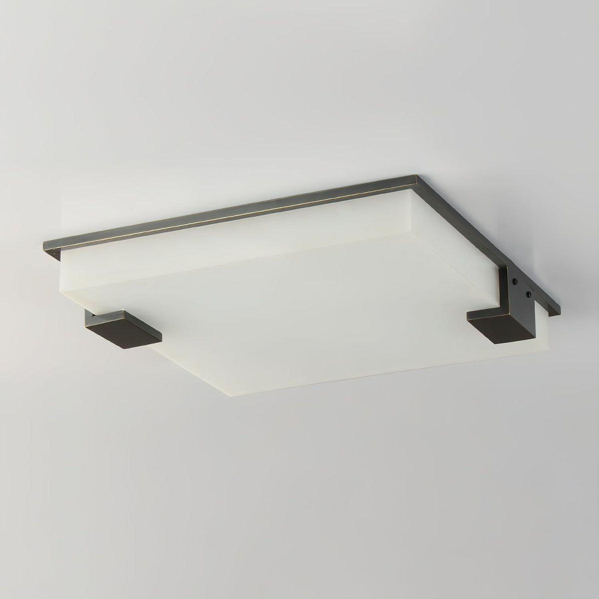Aveninina Ceiling Light