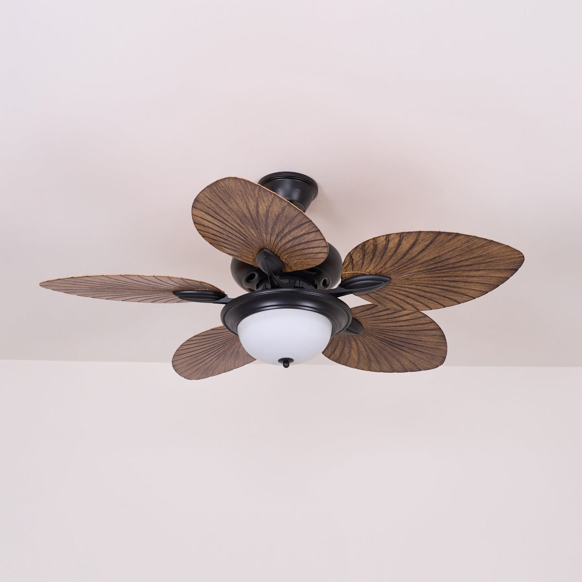 Viraalel Ceiling Fan Light
