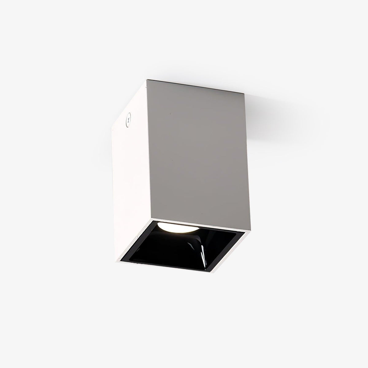 Orelaniella Ceiling Light Cube Square Black Spotlight