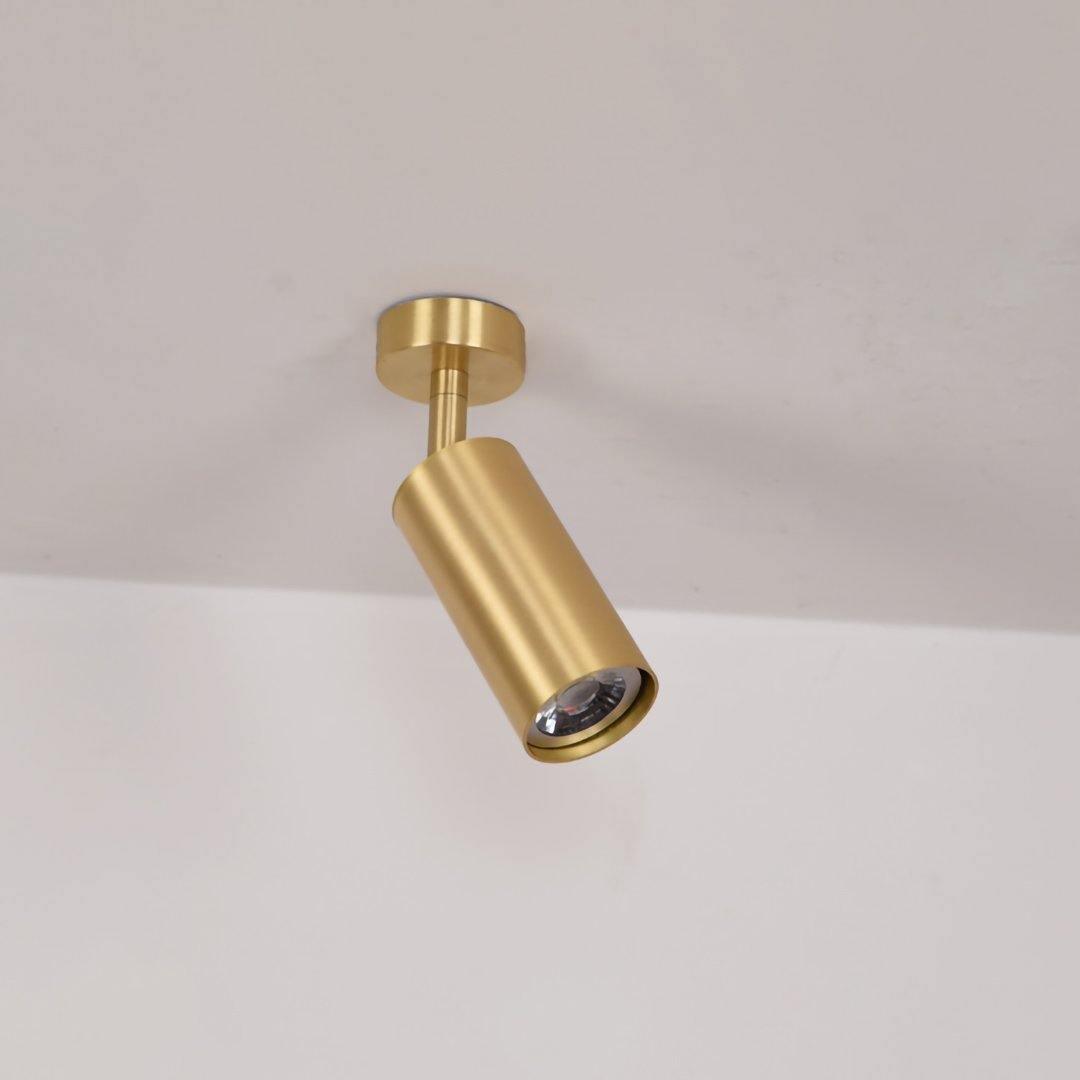 Ezveno Modern Minimalist Brass Ceiling Lamp
