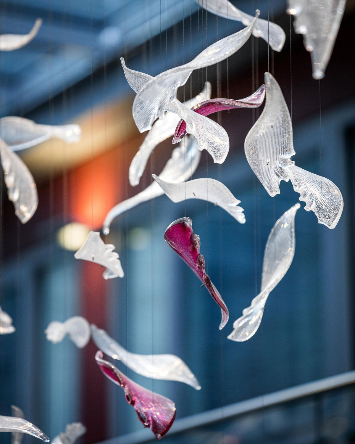 Zathaara Glass Feather Shape  Chandelier