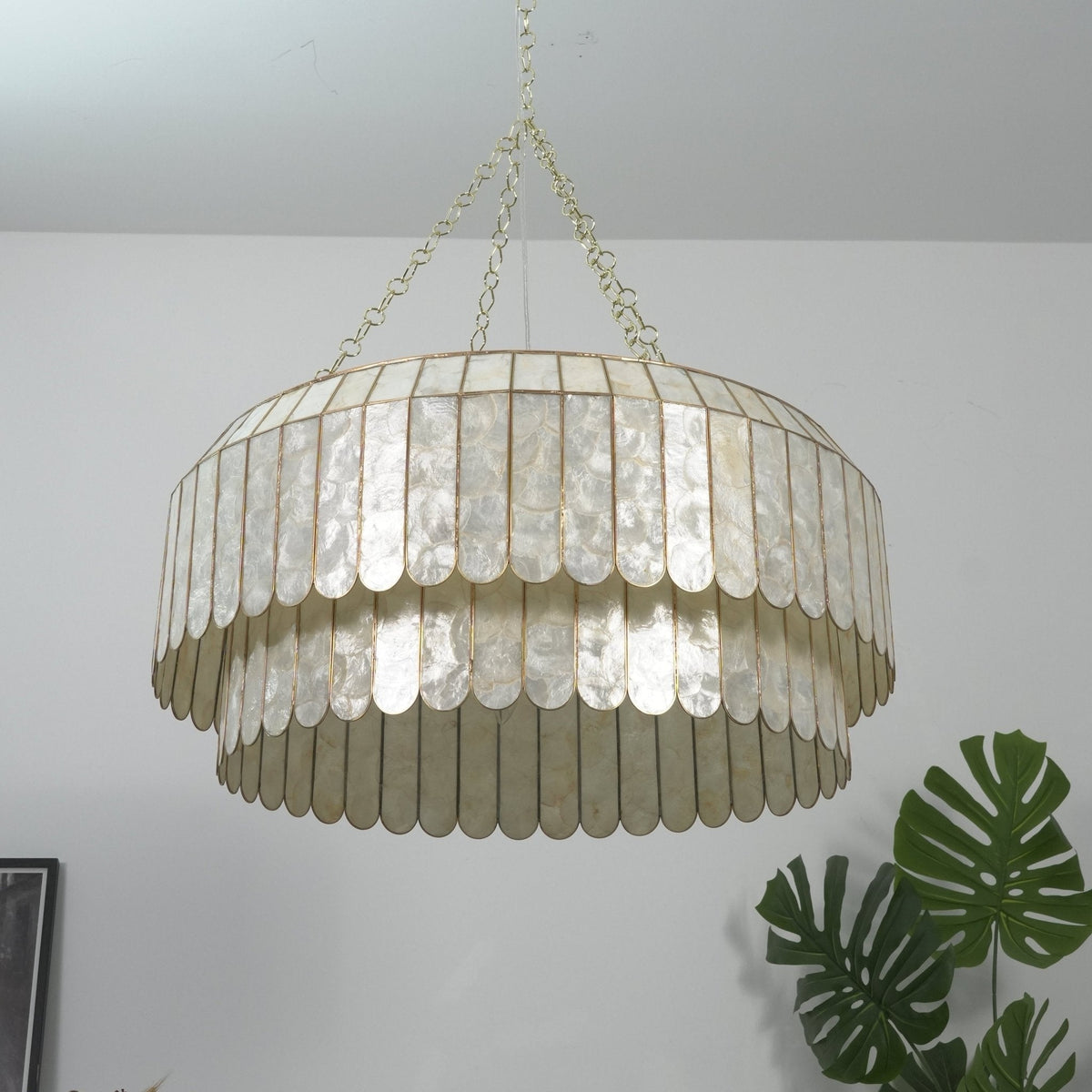 Holz Gold Shell Metal Aurelia Chandelier