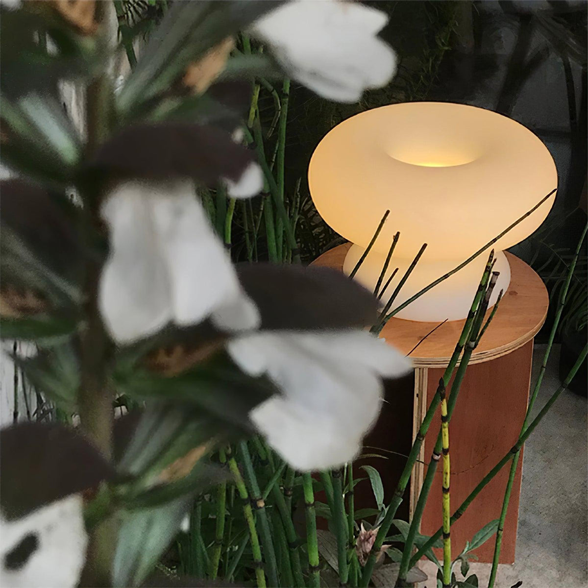 Liorirette Glass Contemporary Table Lamp