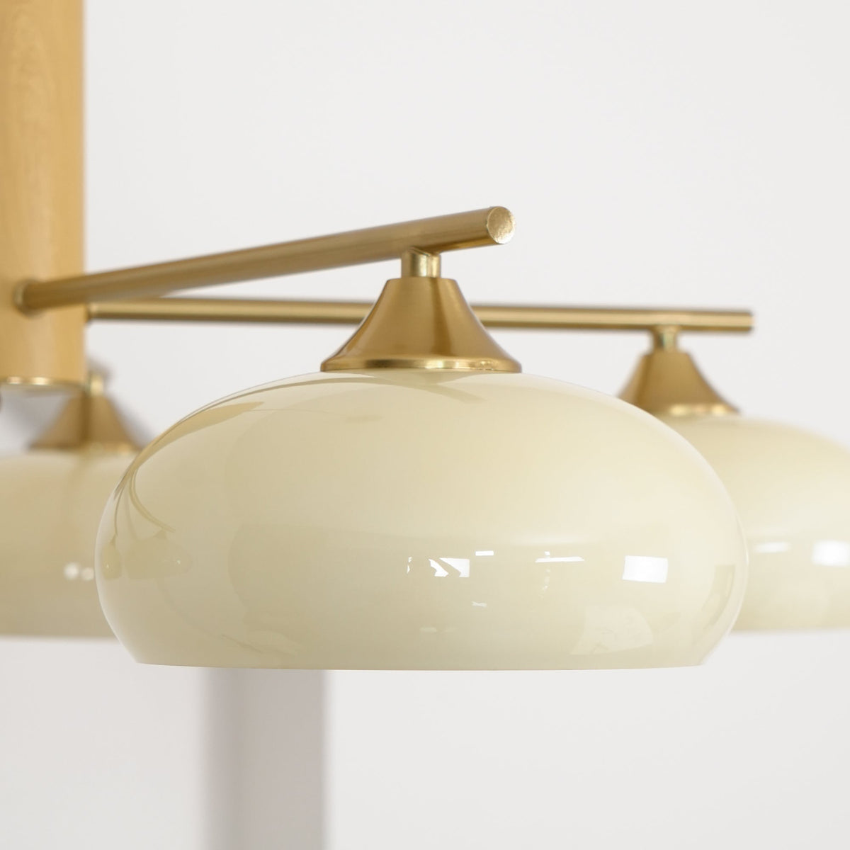 Bion Elliptical Persimmon Chandelier