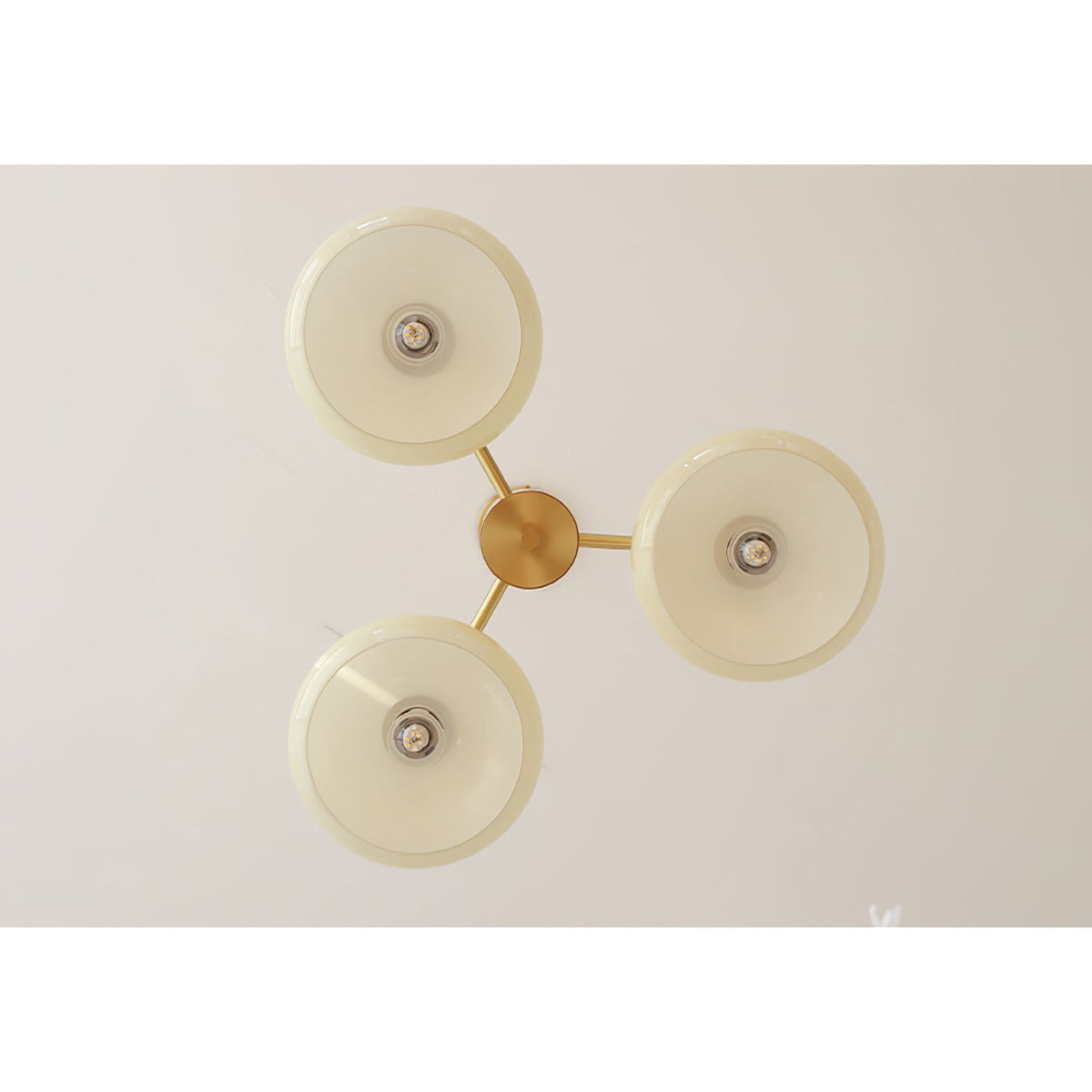 Bion Elliptical Persimmon Chandelier