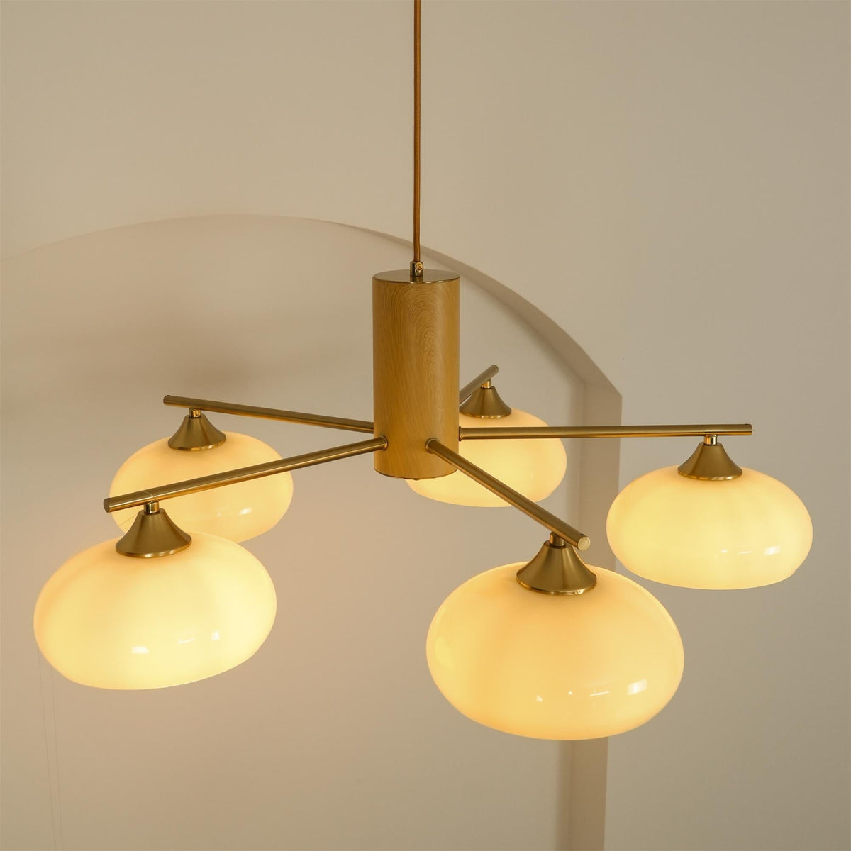 Bion Elliptical Persimmon Chandelier