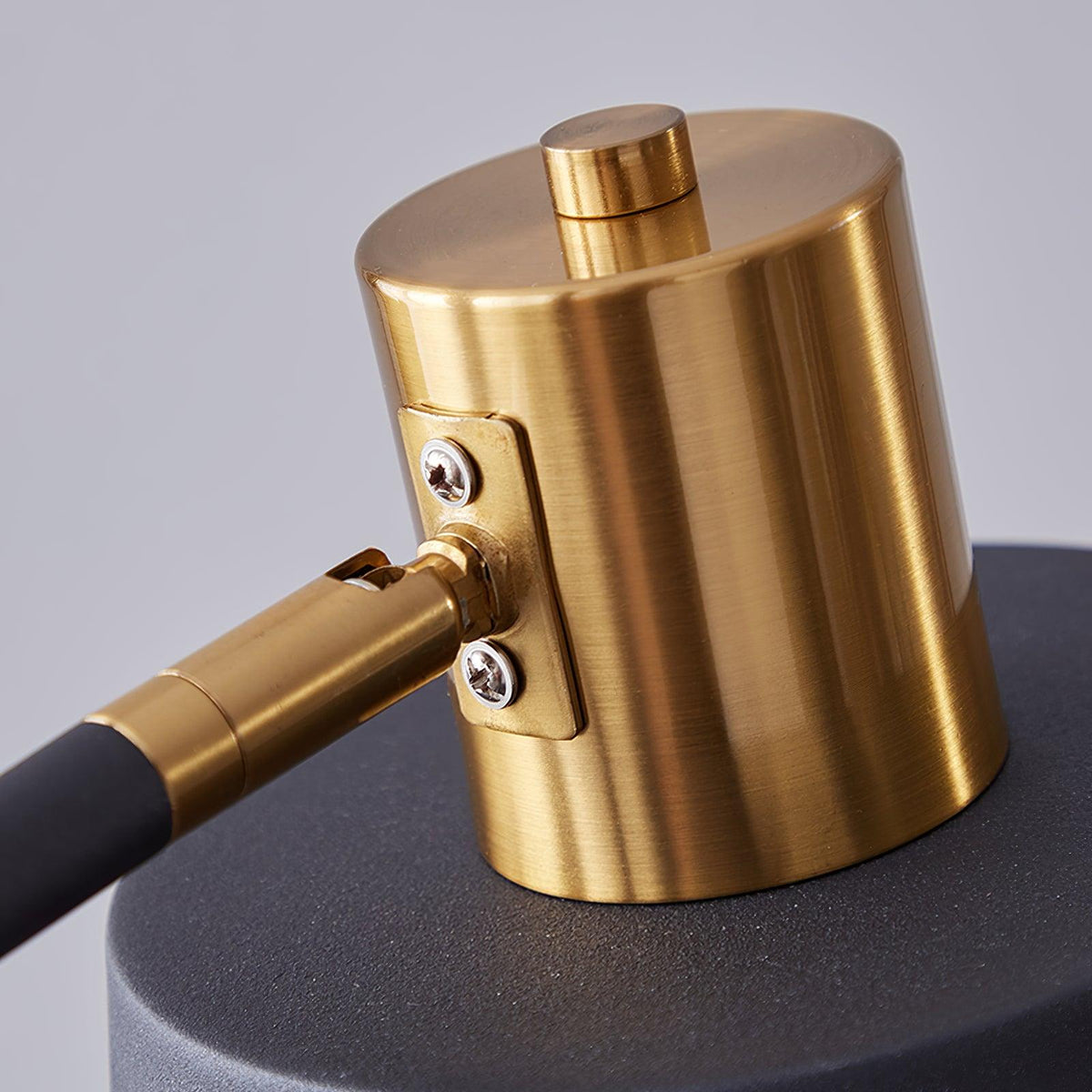 Xildas Black & Gold Minimalistic Floor Lamp