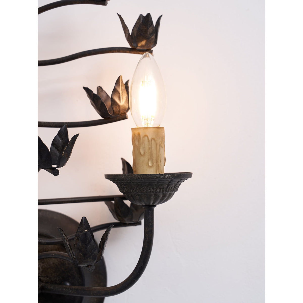 Elaerelia Wall Lamp