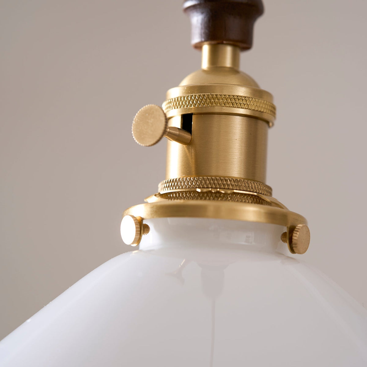 Valena Flower Petals Pendant Light