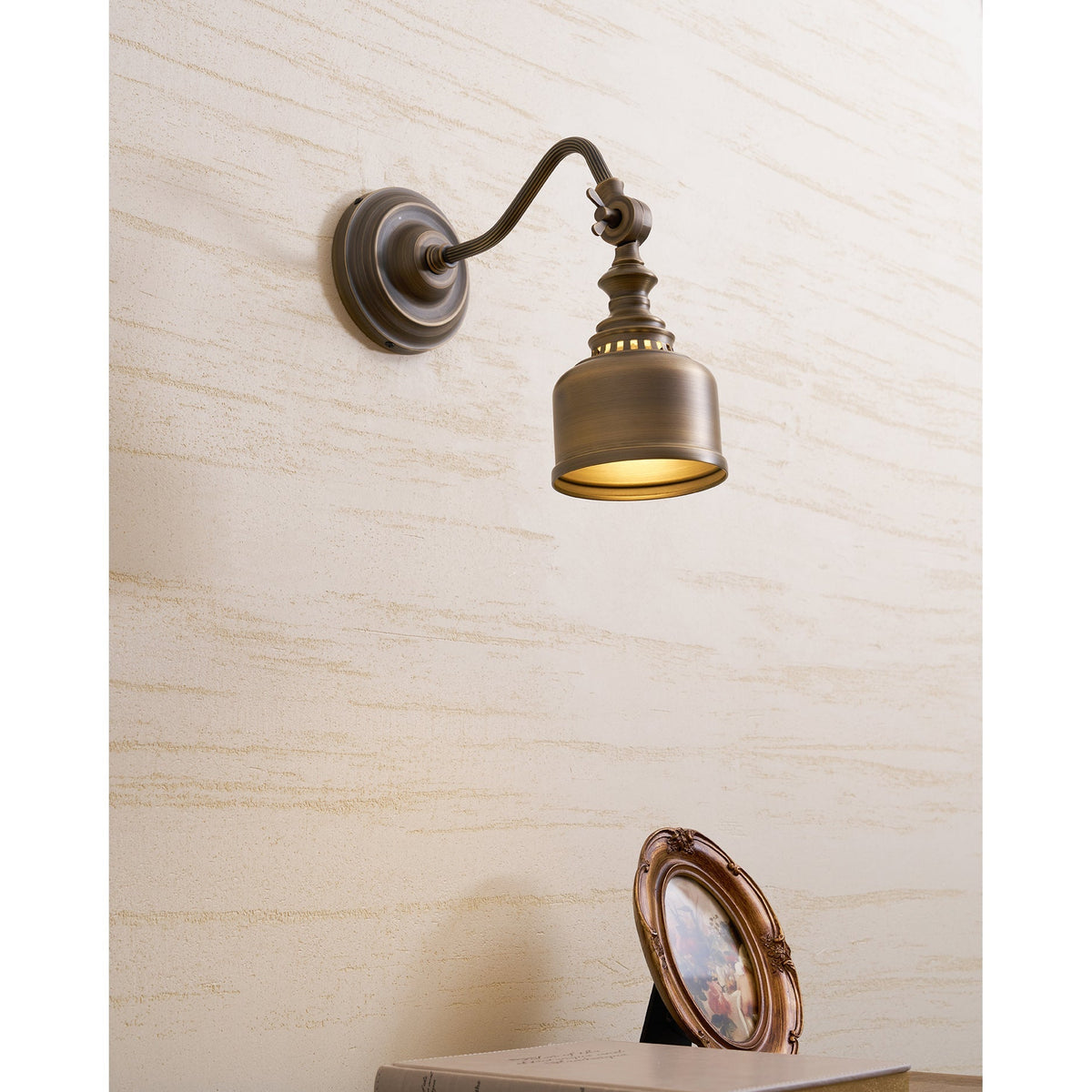 Dukia Gooseneck Indoor Wall Light