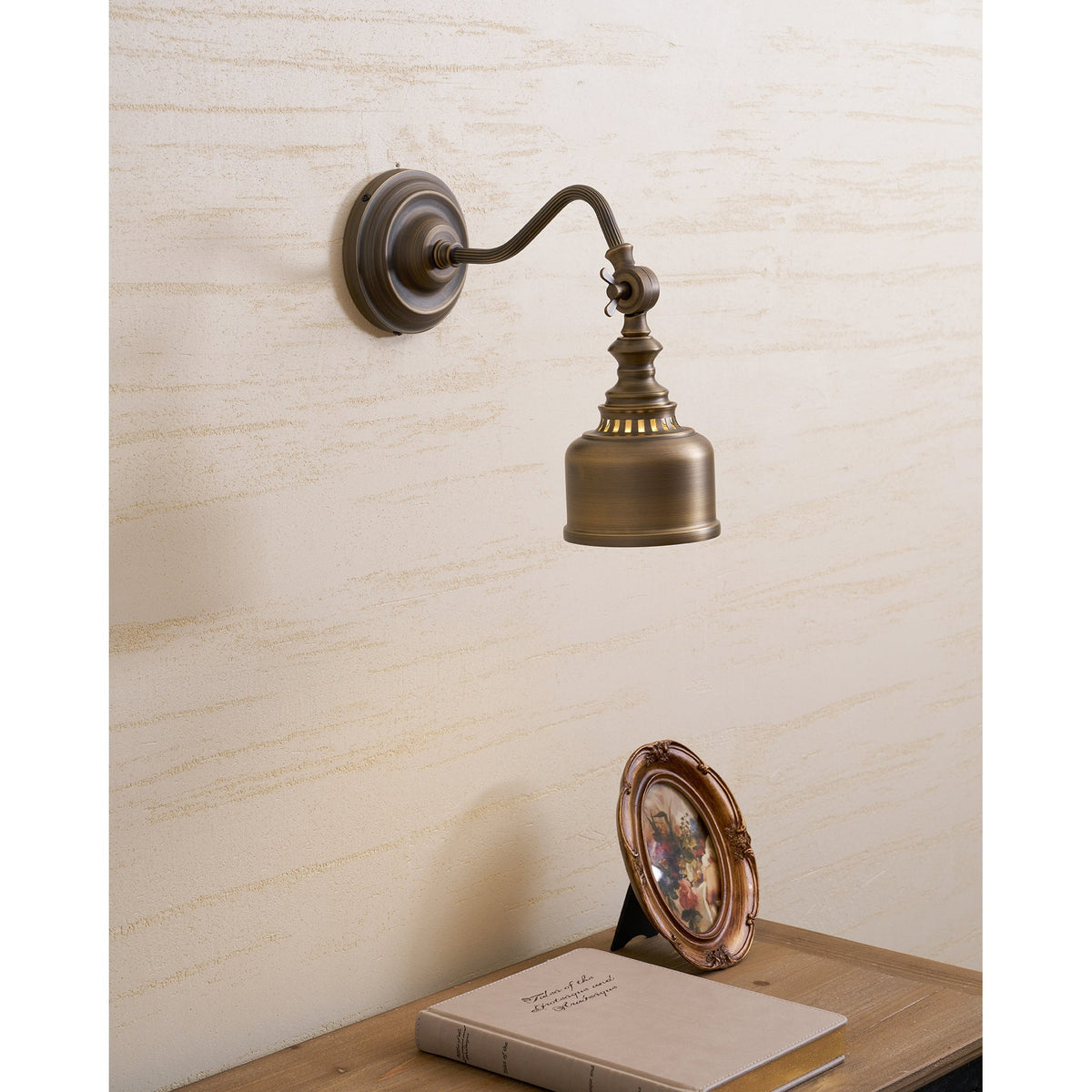 Dukia Gooseneck Indoor Wall Light