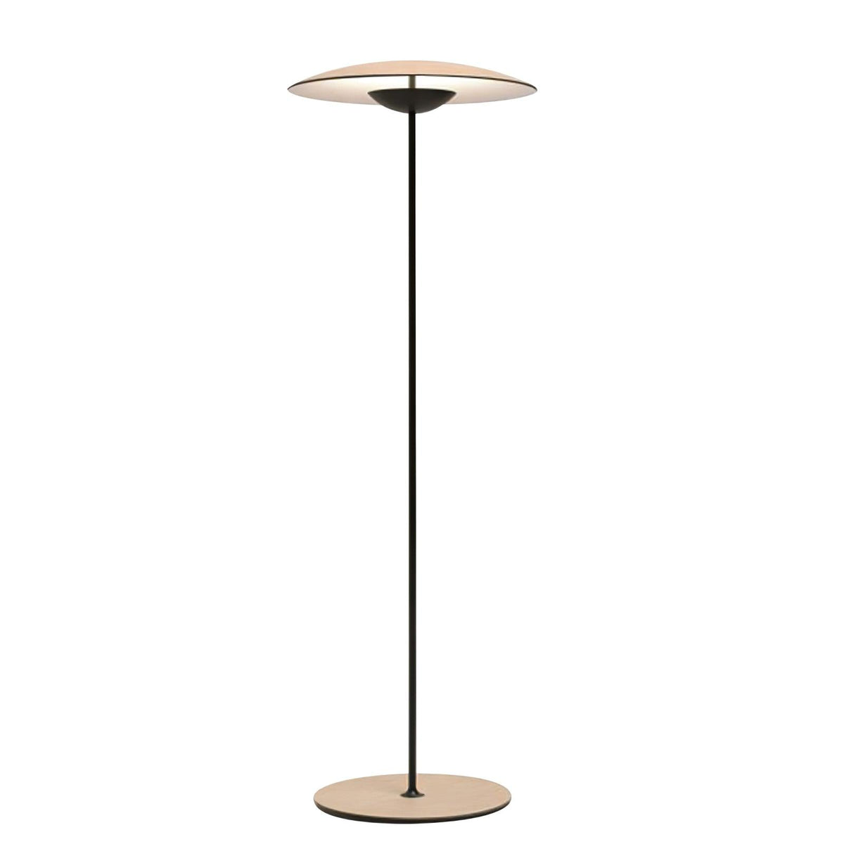 Ferinira Aluminum Minimalist Floor Lamp
