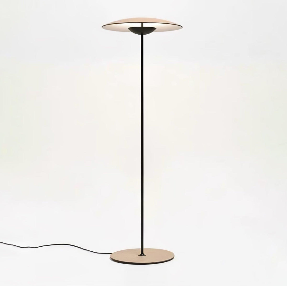 Ferinira Aluminum Minimalist Floor Lamp
