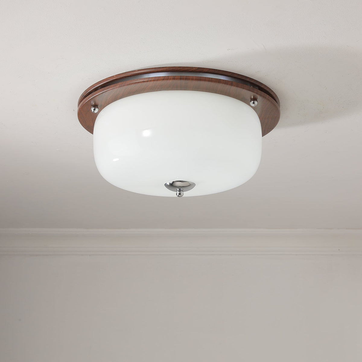 Vetheel Premium Nordic Art Dome Glass Ceiling Light