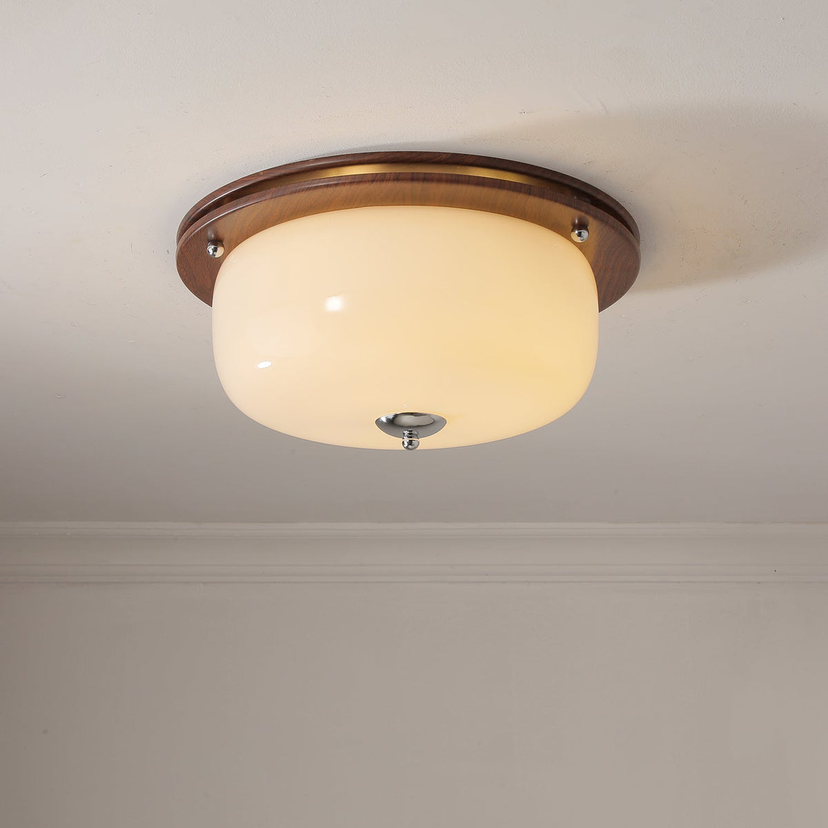 Vetheel Premium Nordic Art Dome Glass Ceiling Light